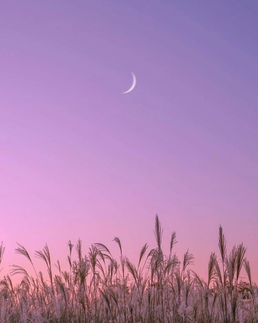 Melatonin for Sleep