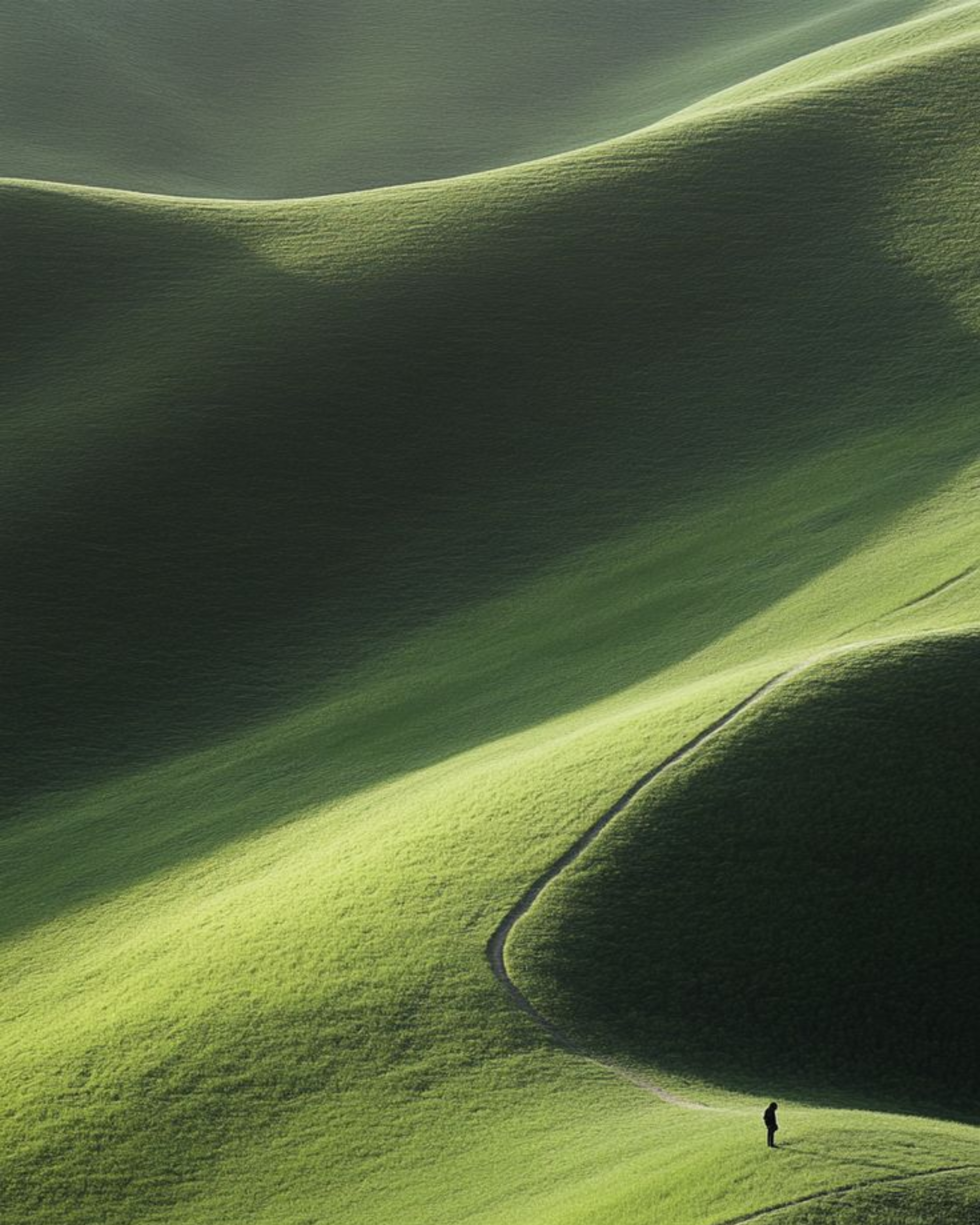 Ashwagandha for Vitality