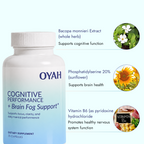 Cognitive Performance